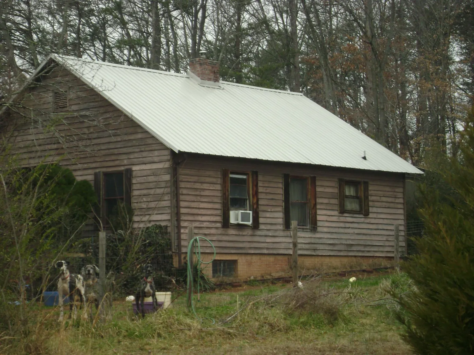 White metal roof on an old wood sided farmhouse, from a Metal Roof Installation job in San Anselmo